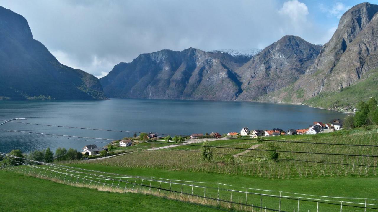 Winjum Cabin Aurland Stegastein Villa Esterno foto